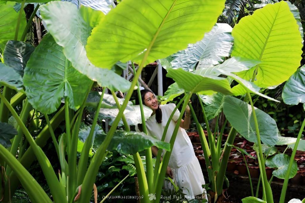 Rajapruek Place Chiang Mai Bagian luar foto